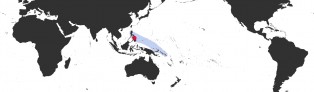 Distribution Map of Leporicypraea valentia Distribution Map of Leporicypraea valentia