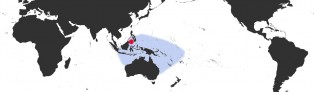 Distribution Map of Mauritia arabica 