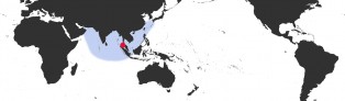 Distribution Map of Mauritia arabica asiatica f. gibba Distribution Map of Mauritia arabica asiatica f. gibba