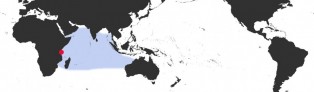 Distribution Map of Mauritia histrio f. elongata Distribution Map of Mauritia histrio f. elongata