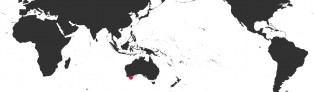 Distribution Map of Zoila venusta roseopunctata Distribution Map of Zoila venusta roseopunctata