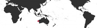 Distribution Map of Zoila jeaniana jeaniana Distribution Map of Zoila jeaniana jeaniana