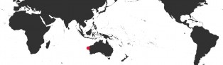 Distribution Map of Zoila jeaniana sherylae Distribution Map of Zoila jeaniana sherylae