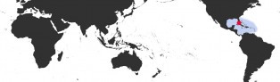 Distribution Map of Luria cinerea cinerea