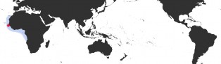 Distribution Map of Trona stercoraria