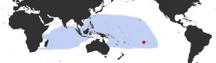 Distribution Map of Annepona mariae 