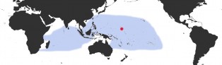 Distribution Map of Annepona mariae