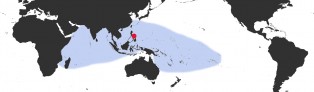 Distribution Map of Chelycypraea testudinaria