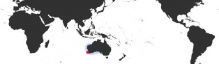Distribution Map of Austrocypraea reevei Distribution Map of Austrocypraea reevei