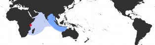 Distribution Map of Arestorides argus contracasta Distribution Map of Arestorides argus contracasta