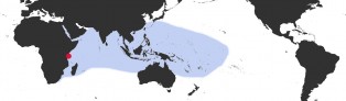 Distribution Map of Lyncina leviathan titan