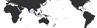 Distribution Map of Lyncina nivosa Distribution Map of Lyncina nivosa
