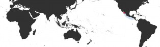 Distribution Map of Pseudozonaria annettae 