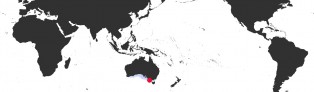Distribution Map of Notocypraea declivis 