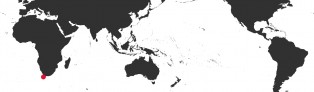 Distribution Map of Cypraeovula algoensis algoensis