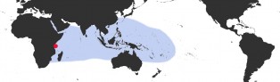 Distribution Map of Monetaria annulus Distribution Map of Monetaria annulus