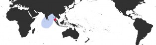 Distribution Map of Bistolida stolida rubiginosa
