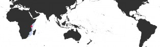 Distribution Map of Bistolida diauges