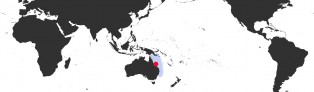 Distribution Map of Bistolida brevidentata fluctuans Distribution Map of Bistolida brevidentata fluctuans