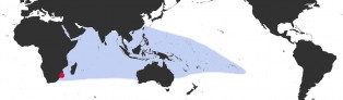 Distribution Map of Monetaria caputserpentis Distribution Map of Monetaria caputserpentis