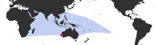 Distribution Map of Monetaria caputserpentis f. kenyonae