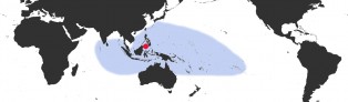 Distribution Map of Bistolida ursellus 