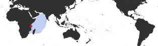 Distribution Map of Bistolida kieneri kieneri