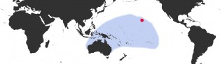 Distribution Map of Ovatipsa chinensis amiges