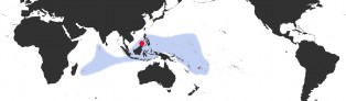 Distribution Map of Talostolida teres alveolus