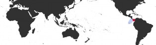 Distribution Map of Talostolida pellucens panamensis