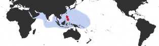 Distribution Map of Cribrarula cribraria cribraria Distribution Map of Cribrarula cribraria cribraria