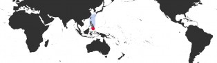 Distribution Map of Austrasiatica sakuraii