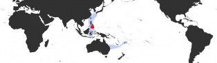 Distribution Map of Austrasiatica hirasei Distribution Map of Austrasiatica hirasei