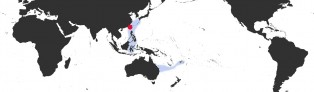 Distribution Map of Austrasiatica hirasei