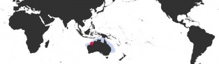 Distribution Map of Erronea errones coxi