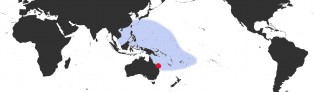 Distribution Map of Erronea caurica caurica f. longior Distribution Map of Erronea caurica caurica f. longior