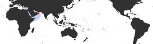 Distribution Map of Erronea caurica quinquefasciata