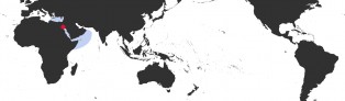 Distribution Map of Erronea caurica quinquefasciata f. nabequensis