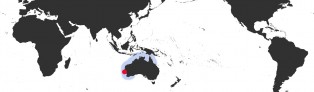 Distribution Map of Erosaria cernica viridicolor