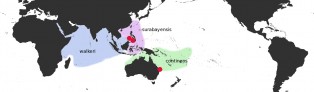 Distribution Map of Erronea walkeri set