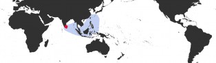 Distribution Map of Blasicrura interrupta