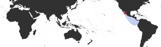 Distribution Map of Erosaria albuginosa 