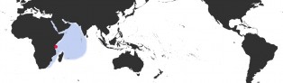Distribution Map of Erosaria helvola argella