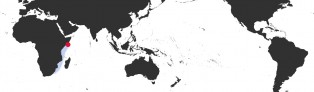 Distribution Map of Erosaria marginalis melocellata