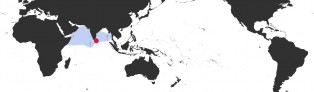Distribution Map of Erosaria ocellata 