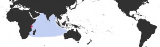 Distribution Map of Erosaria lamarckii lamarckii