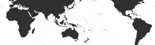 Distribution Map of Umbilia hesitata f. beddomei Distribution Map of Umbilia hesitata f. beddomei