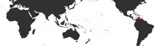 Distribution Map of Muracypraea mus donmoorei