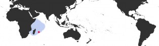 Distribution Map of Leporicypraea mappa rosea Distribution Map of Leporicypraea mappa rosea