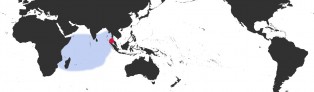 Distribution Map of Leporicypraea geographica geographica Distribution Map of Leporicypraea geographica geographica